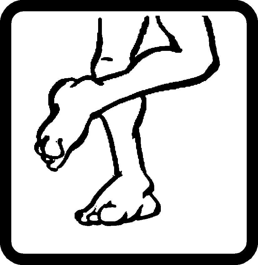 Seisonta